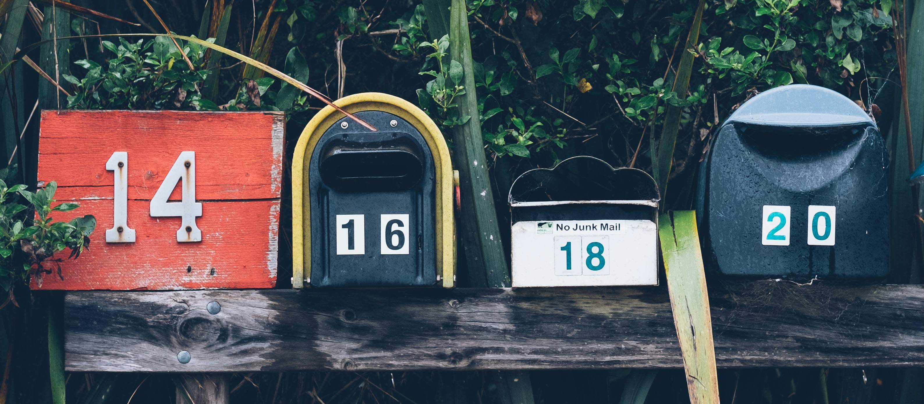 Anmeldung für unseren Newsletter