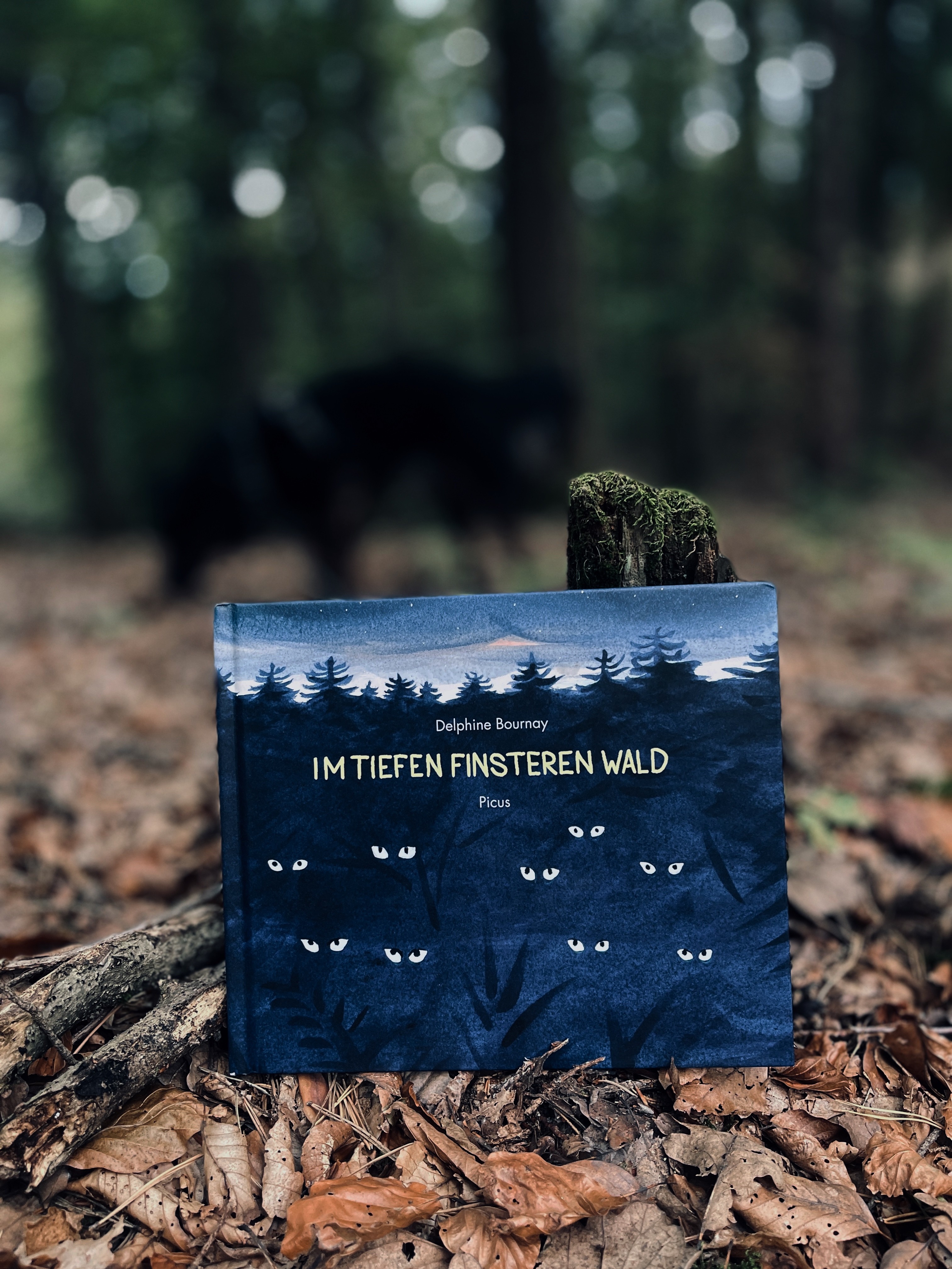Im tiefen finsteren Wald