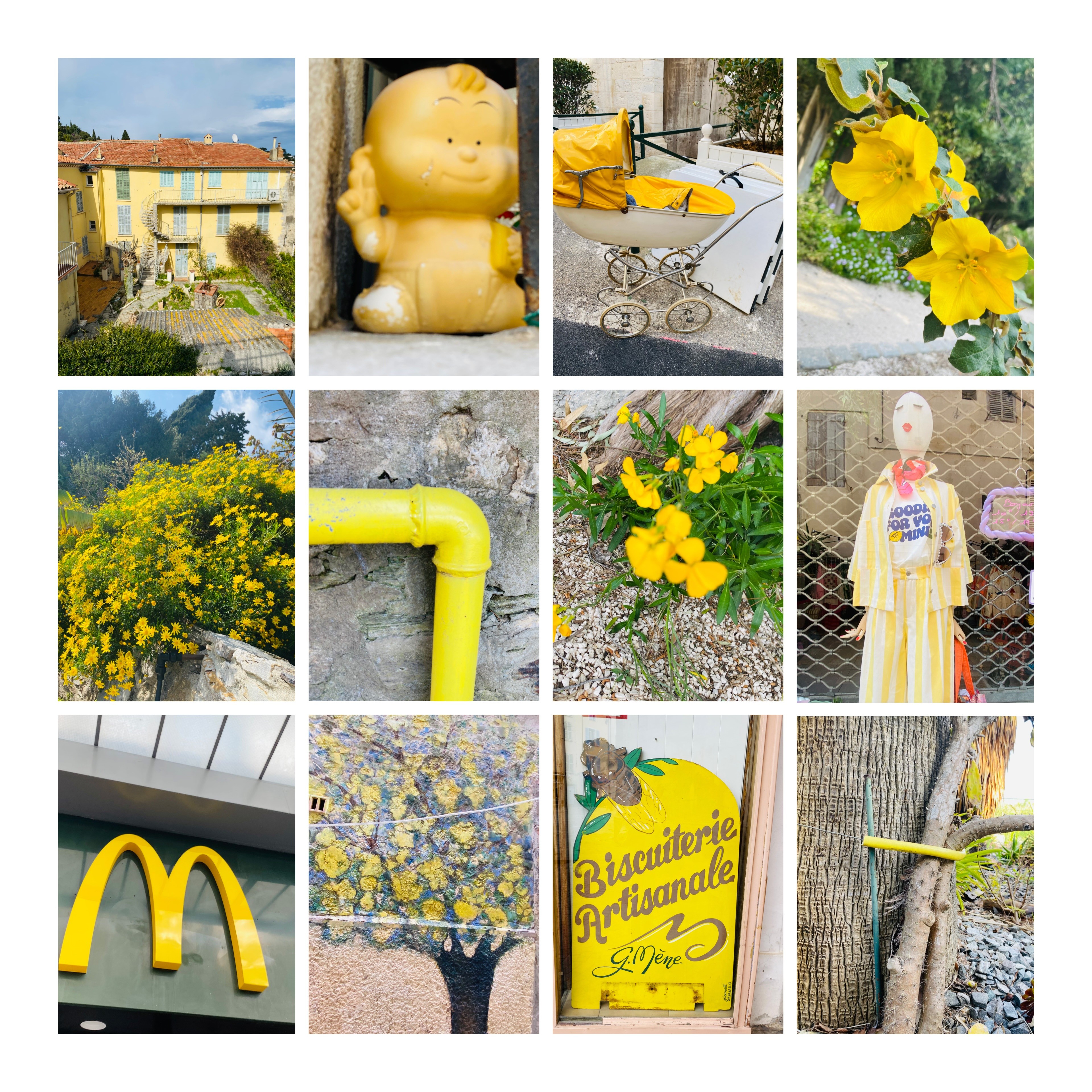 Colour Hunt - Auf der Jagd nach Farben