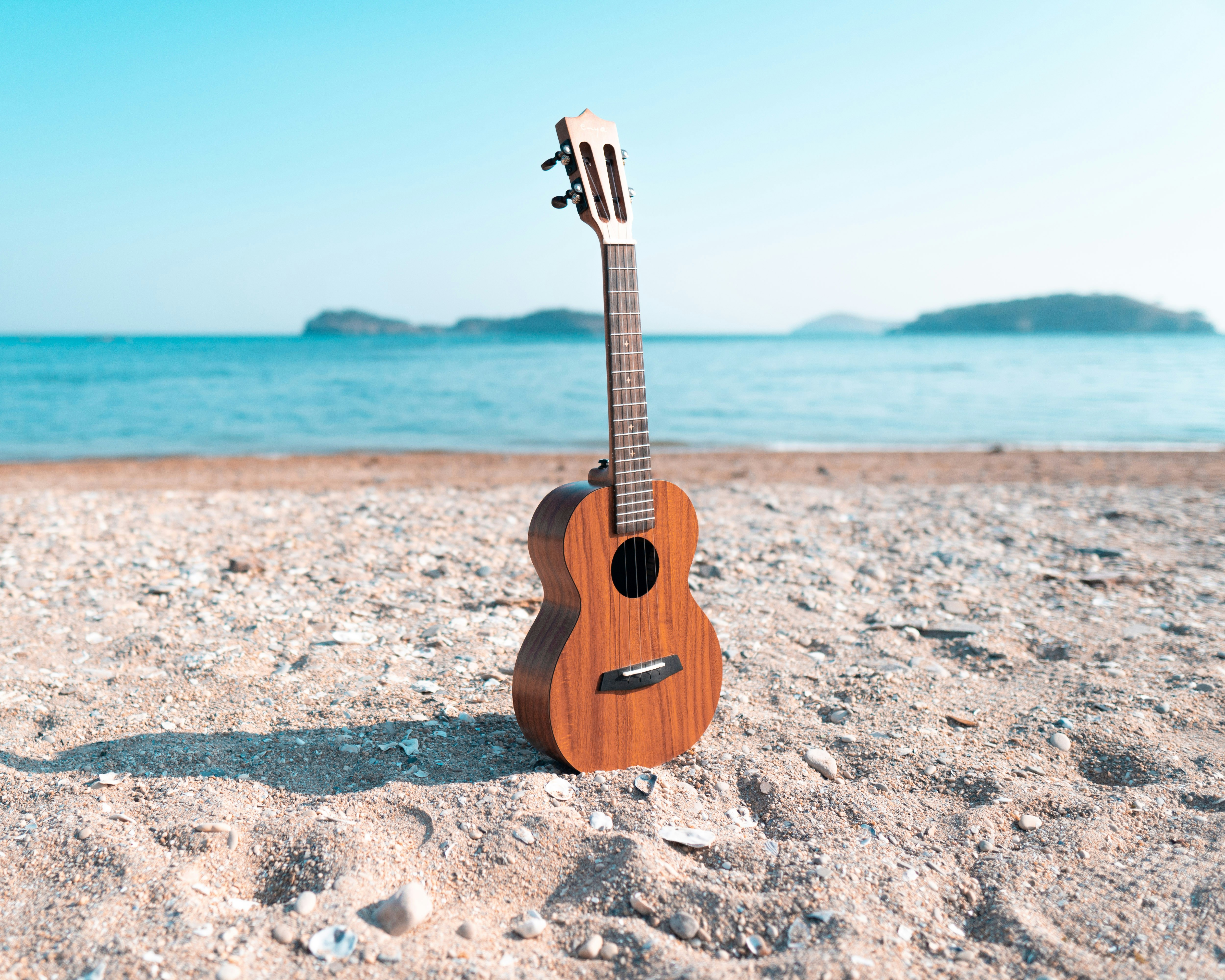 Ukulele-Workshop: Basics