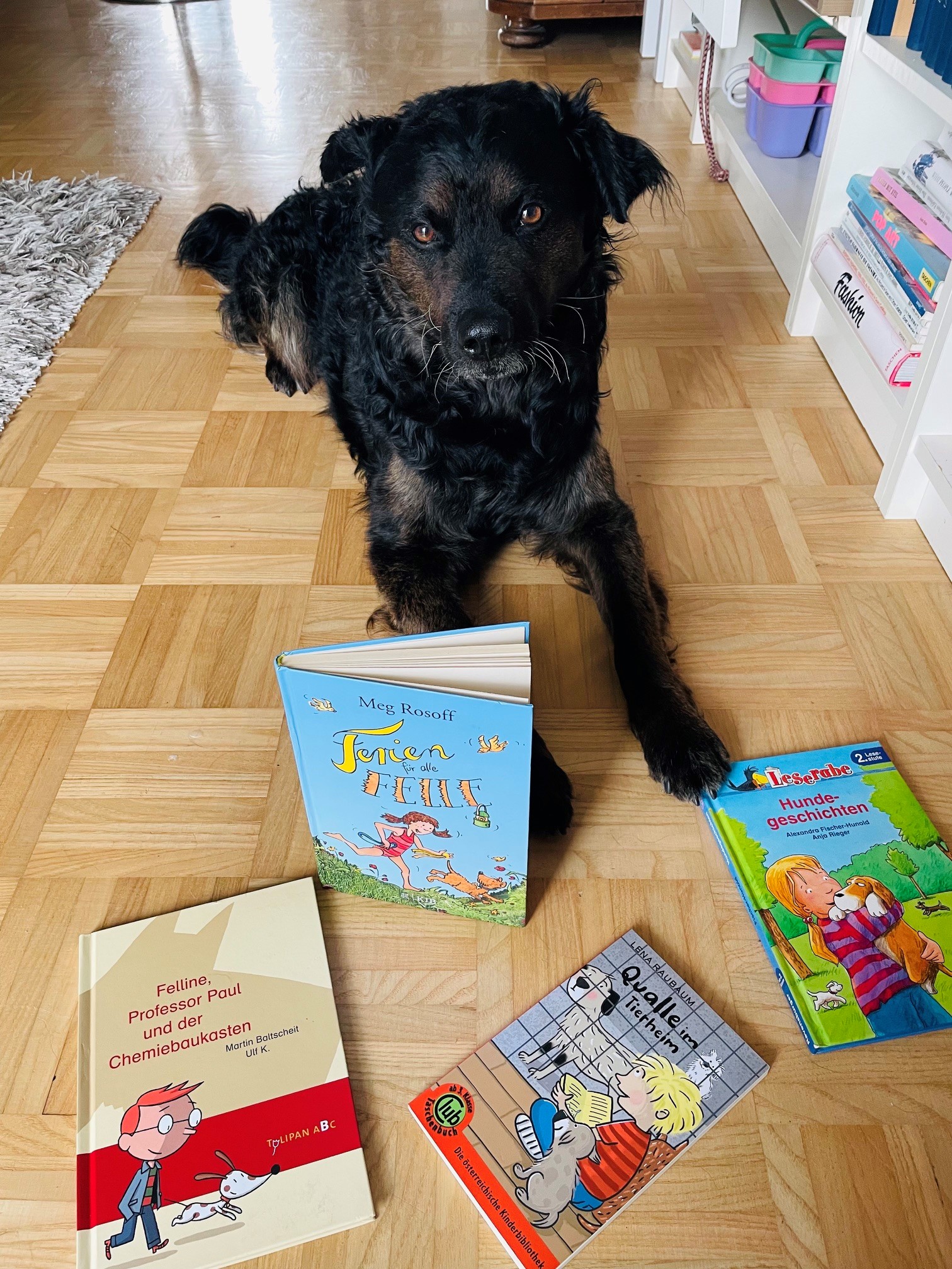 Inselzeit: Lisa will einen Hund